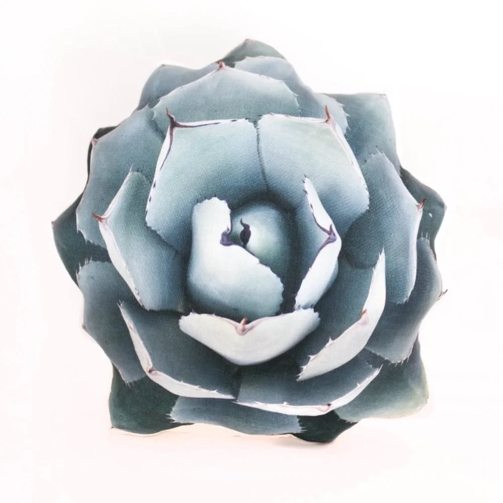🆕 Agave Truncata Linen Pillow
